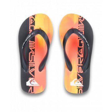 Quiksilver molokai art 2025 TONG BOY