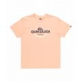 Quiksilver typed out 2025 T SHIRT MC HOMME Quiksilver typed out 2025 T SHIRT MC HOMME