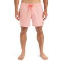 Quiksilver deluxe 15 2025 VOLLEY SHORT HOMME