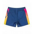 Quiksilver everyday 2025 VOLLEY SHORT HOMME
