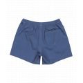 Quiksilver everyday 2025 VOLLEY SHORT HOMME