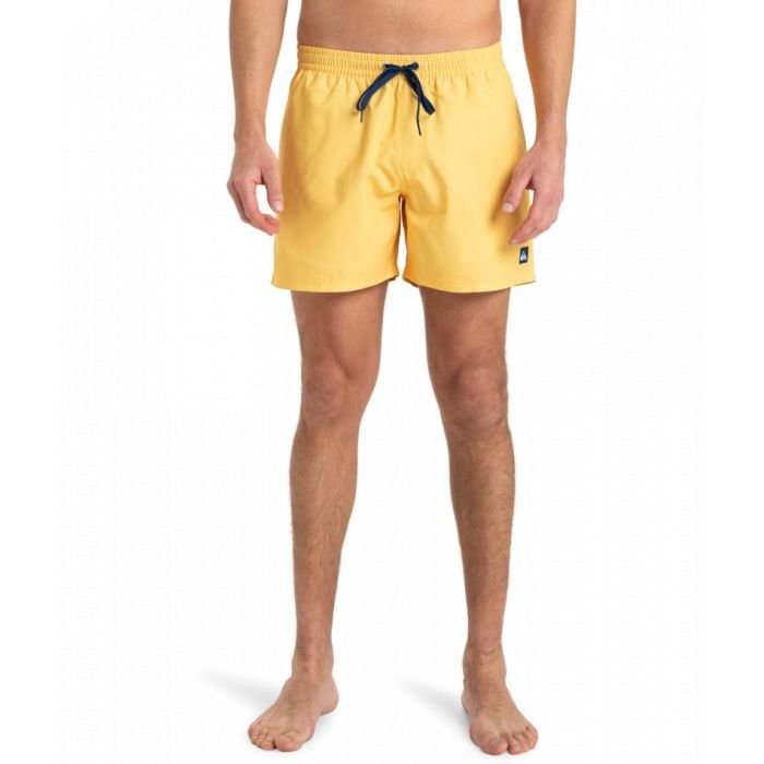 Quiksilver solid 15 2025 VOLLEY SHORT HOMME Quiksilver solid 15 2025 VOLLEY SHORT HOMME