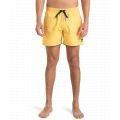 Quiksilver solid 15 2025 VOLLEY SHORT HOMME