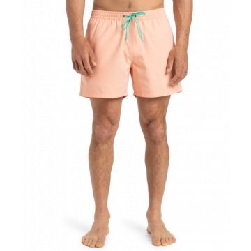 Quiksilver solid 15 2025 VOLLEY SHORT HOMME