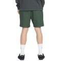 Volcom high stone ew short 18 2025