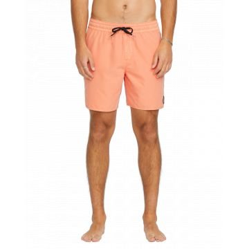Volcom center trunk 17 2025