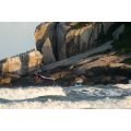 Duotone Float 2025 Aile de wingfoil Duotone Float 2025 Aile de wingfoil
