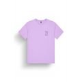 Picture terra 2025 TSHIRT MANCHES COURTES Picture terra 2025 TSHIRT MANCHES COURTES