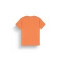 Picture adak 2025 TSHIRT MANCHES COURTES