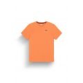 Picture timont ss urban tech tee 2025 TSHIRT MANCHES COURTES Picture timont ss urban tech tee 2025 TSHIRT MANCHES COURTES
