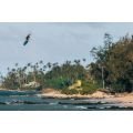 Ozone Torque V4 2025 Planche de kitesurf