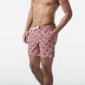 Picture Piau 15 Printed Boardshort homme 