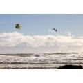 Ozone Enduro V5 Ultra-x 2025 Aile de kitesurf