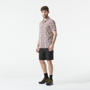 Picture alpho 2025 SHORT