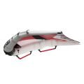 REEDIN Supernatural 2025 Aile de wingfoil
