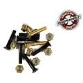 Independent Vis phillips 1pouce black gold (jeu de 8) Independent Vis phillips 1pouce black gold (jeu de 8)