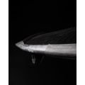 Starboard Twin Fin Limited Series Stand Up Paddle Surf rigide
