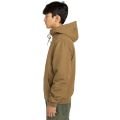 ELEMENT Dulcey Blouson homme