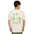 ELEMENT Bigfoot Trees T-shirt à manches courtes homme ELEMENT Bigfoot Trees T-shirt à manches courtes homme
