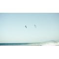 FONE Trigger V2 TEC Aile de kitesurf