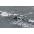 Duotone Whip D/LAB 2026 Planche de kite surf Duotone Whip D/LAB 2026 Planche de kite surf