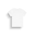 Picture Authentic Tee T-shirt à manches courtes pour homme Picture Authentic Tee T-shirt à manches courtes pour homme