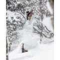 Bataleon Cameleon Planche de snowboard homme Bataleon Cameleon Planche de snowboard homme