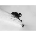 KORUA Pencil Plus Planche de snowboard