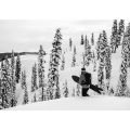 KORUA Dart Brushed Planche de snowboard KORUA Dart Brushed Planche de snowboard