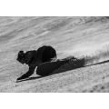 KORUA Transition Finder Brushed Planche de snowboard KORUA Transition Finder Brushed Planche de snowboard