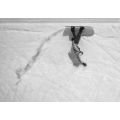 Korua uberegg Planche snow h26