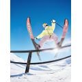 ROXY Passive Lines pt Pantalon de ski/snowboard pour femme