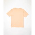Volcom Solid Stone Emb T-shirt À Manches Courtes Pour Homme Volcom Solid Stone Emb T-shirt À Manches Courtes Pour Homme
