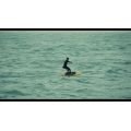 FONE Rocket Free DW 2026 Planche de Downwind, Pocket wing et Kwing