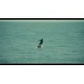 FONE Rocket Free DW 2026 Planche de Downwind, Pocket wing et Kwing