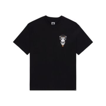 DCSHOES DC Tiger Bite T-shirt à manches courtes pour homme