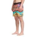 Volcom fa mickey mason trunk 17 2026