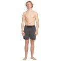 Volcom center trunk 17 2026 Volcom center trunk 17 2026