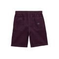 Volcom outer spaced ew cord short 2026