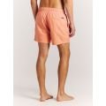 Protest prtmarama beachshort 2026