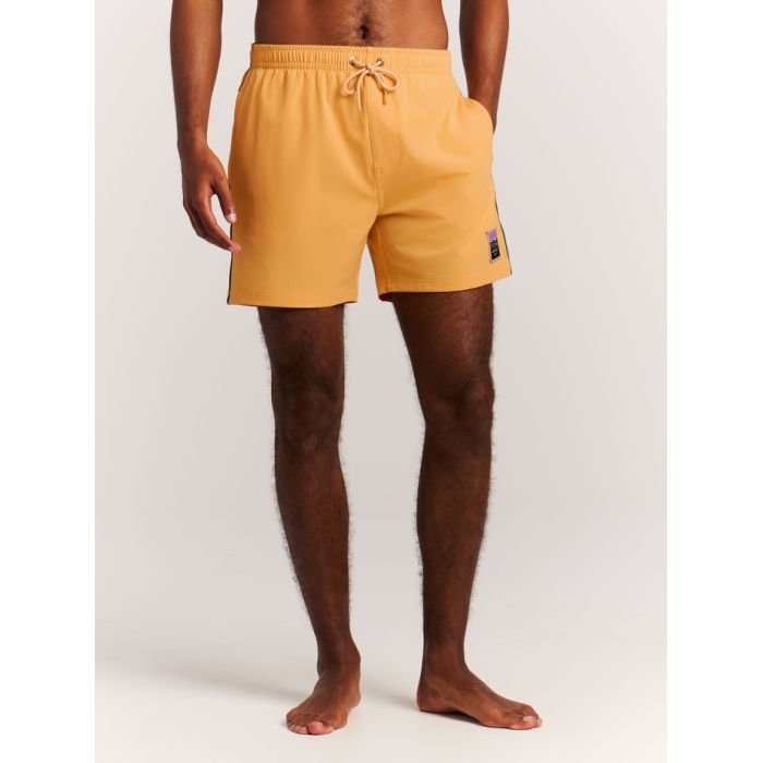 Protest prtjayden beachshort 2026