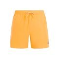 Protest prtjayden beachshort 2026