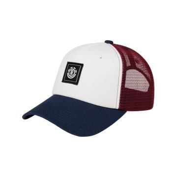 Element icon mesh 2026