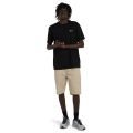 Element regular chino 2026