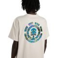 Element swamps 2026 Element swamps 2026