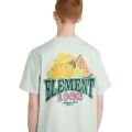Element fruit 2026