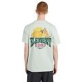 Element fruit 2026
