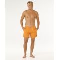 RIP CURL Offset Daily Volley boardshort homme RIP CURL Offset Daily Volley boardshort homme