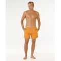 RIP CURL&nbsp;Offset Daily&nbsp;Volley boardshort homme