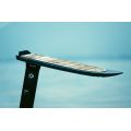 Duotone Strider SLS 2026 Planche de pump foil et dock start